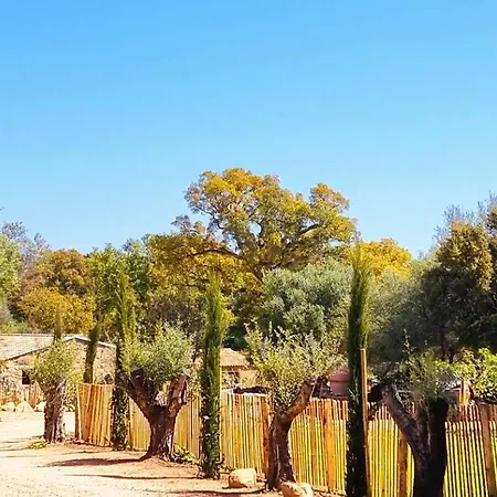 Domaine De Gialla Bergerie Prugna, 8 Pers, Piscine Chauffée, 10 Mn *