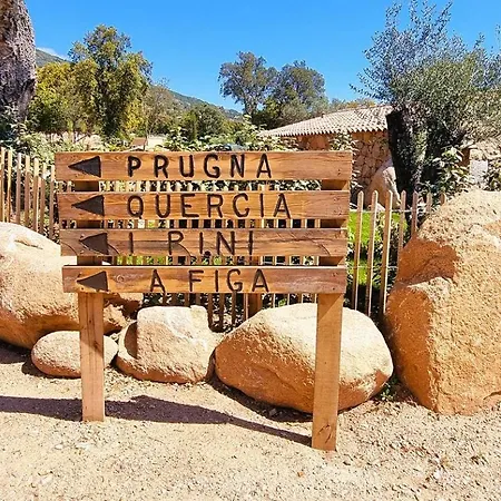 Domaine De Gialla Bergerie Prugna, 8 Pers, Piscine Chauffee, 10 Mn Arraggio