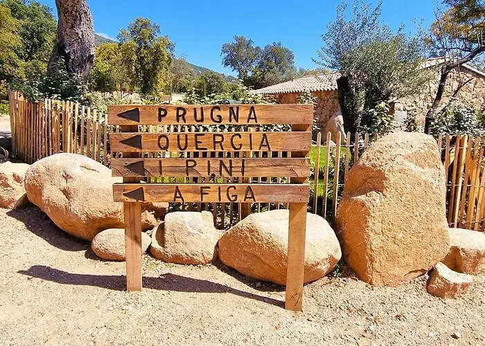 Domaine De Gialla Bergerie Prugna, 8 Pers, Piscine Chauffee, 10 Mn Arraggio